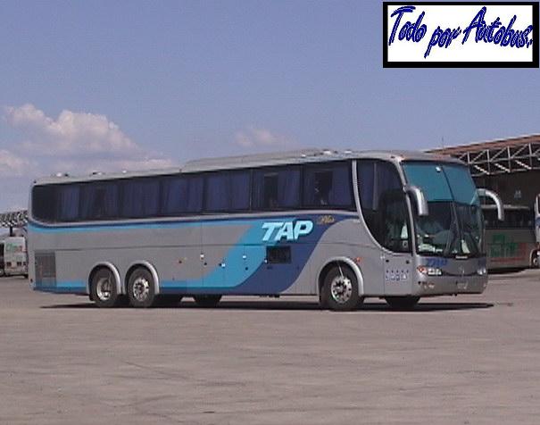 TAP Plus. Marcopolo MP120.